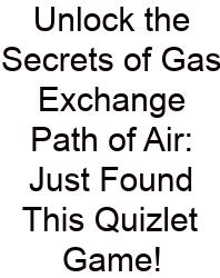 Unlock The Secrets Of Gas Exchange Path Of Air: Just Found This Quizlet Game!
