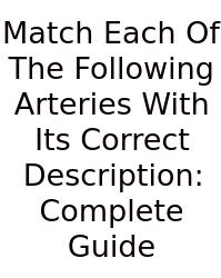 Match Each Of The Following Arteries With Its Correct Description: Complete Guide