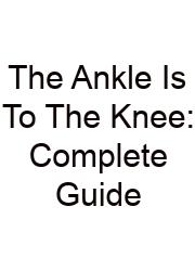 The Ankle Is To The Knee: Complete Guide
