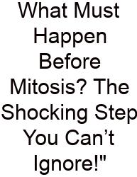 What Must Happen Before Mitosis? The Shocking Step You Can’t Ignore!