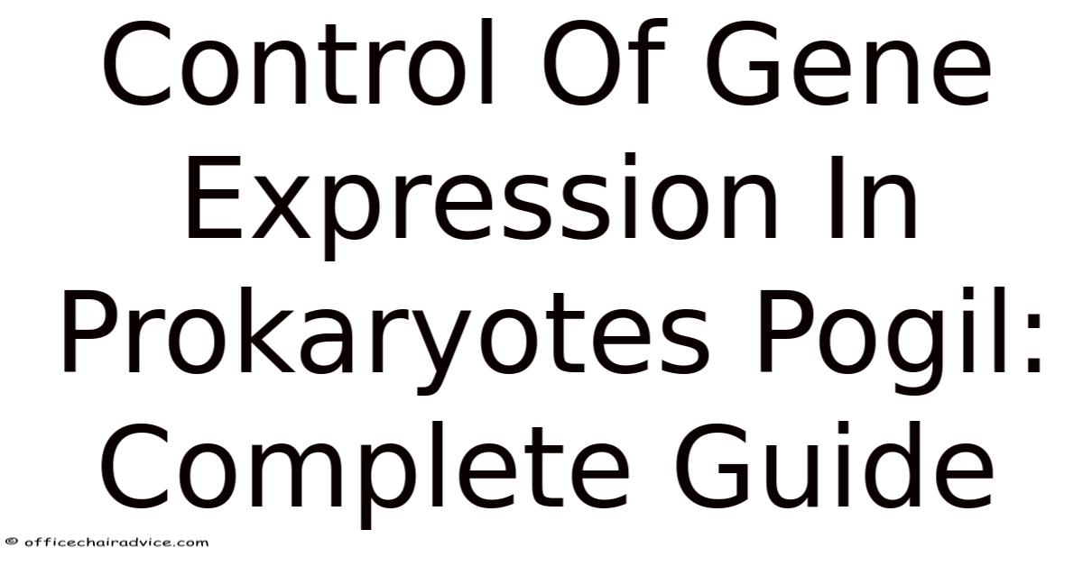 Control Of Gene Expression In Prokaryotes Pogil: Complete Guide